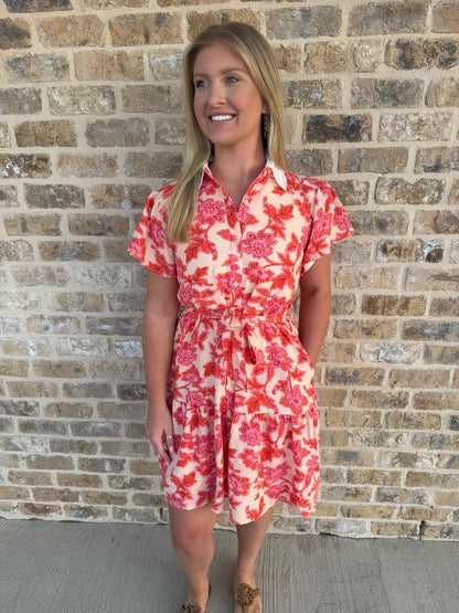 FLORAL PRINT LACE COLLAR DRESS