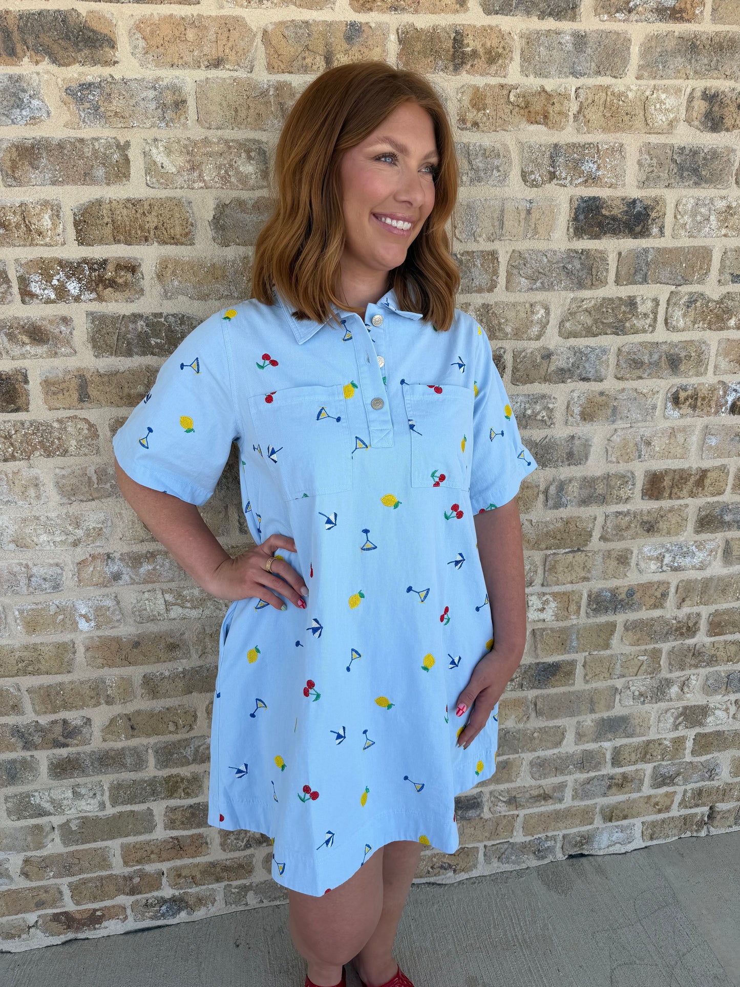 COLLARED MINI DRESS WITH EMBROIDERY DRESS
