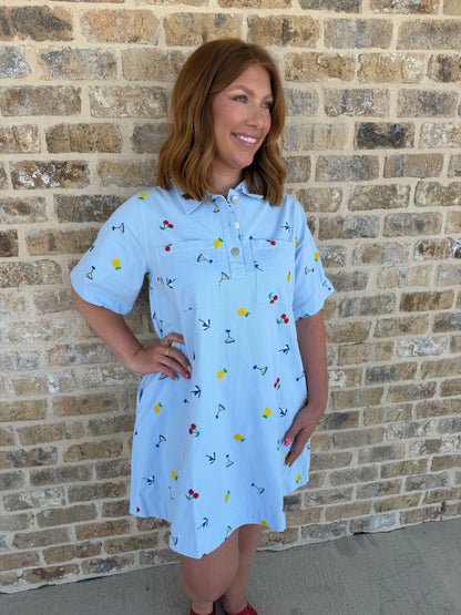 COLLARED MINI DRESS WITH EMBROIDERY DRESS